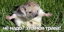 Ігор Дячук фотография #11 (источник - https://vk.com/id166775668)