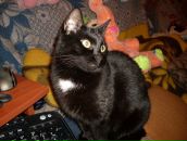 Фотография Есиной Инессы