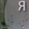 Сергій Муляревич фотография #44 (источник - https://vk.com/id124837273)