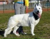 Ярик Сусляк фотография #20 (источник - https://vk.com/id6677792)