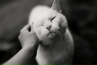 Іра Демчук фотография #18 (источник - https://vk.com/id62424493)