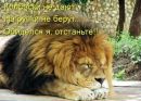 Фотография Кильмаматова Ильдара