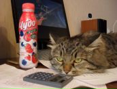 Фотография Ушева Никиты