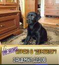 Дмитрий Колесников фотография #37 (источник - https://vk.com/id60109861)