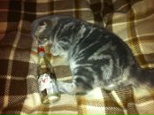 Фотография Пьянова Женька