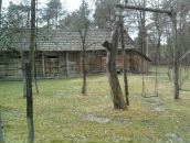 Вікторія Цвітка фотография #49 (источник - https://vk.com/id32911090)