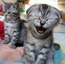 Святослав Гошій фотография #15 (источник - https://vk.com/id163548211)