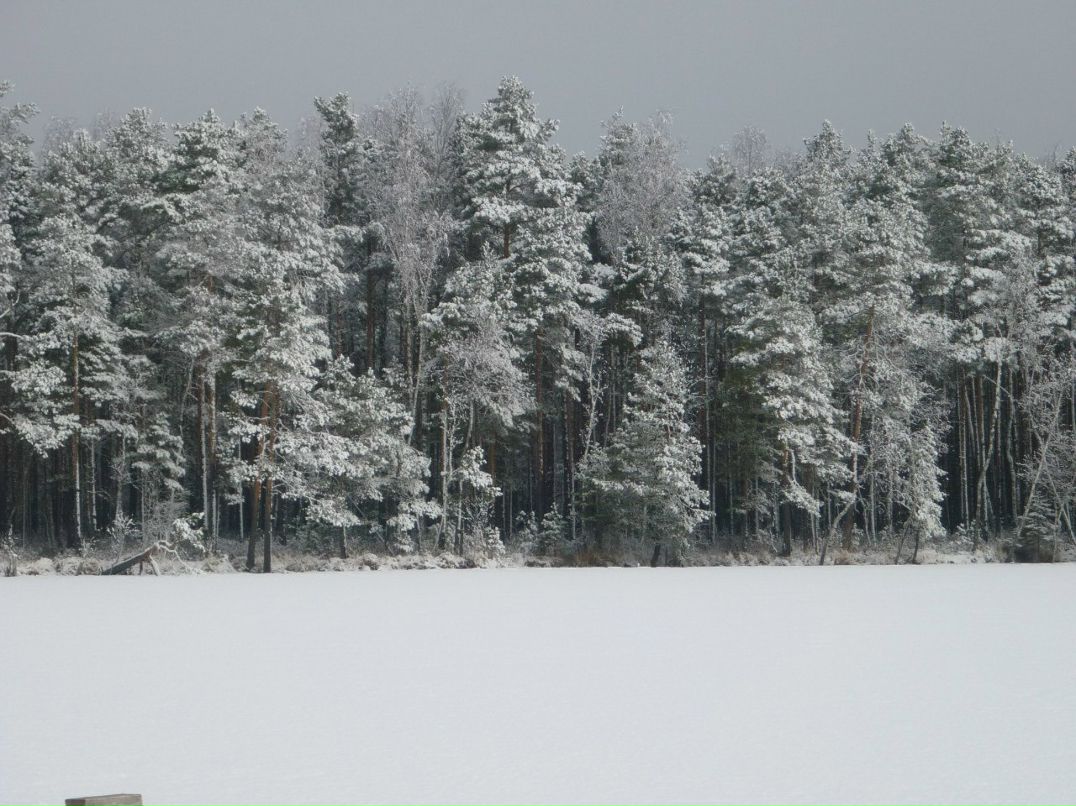 Дима Рубенок фотография #11