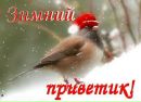 Ірина Федчук фотография #8 (источник - https://vk.com/id161100789)