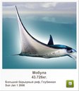Иван Бабинец фотография #20 (источник - https://vk.com/id120069385)