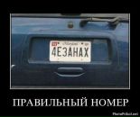 Дмитрий Плотников фотография #21 (источник - https://vk.com/id4128910)