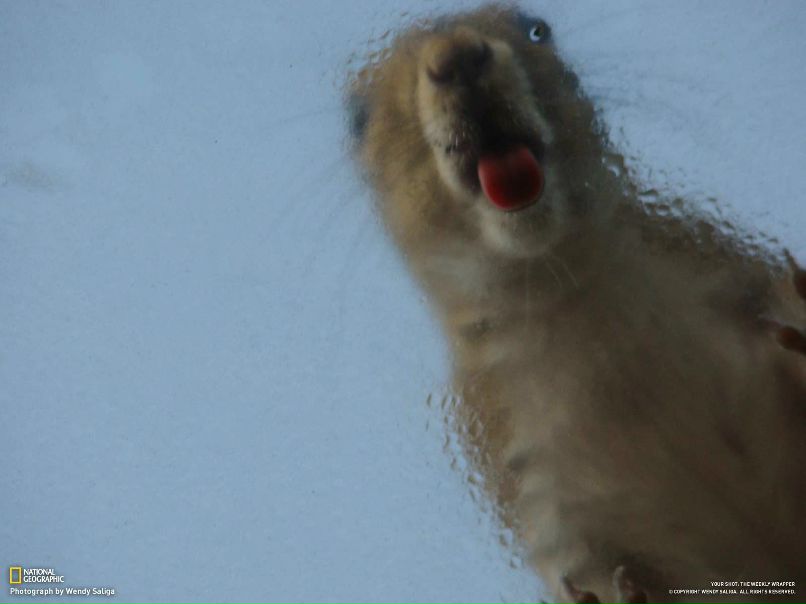 Lev Averkiev фотография #16