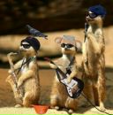 Фотография Власовой Татьяны