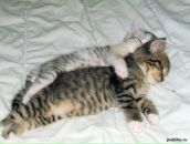 Фотография Хохловой Ирины