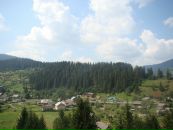 Маха Дімітрова фотография #11 (источник - https://vk.com/id12887518)