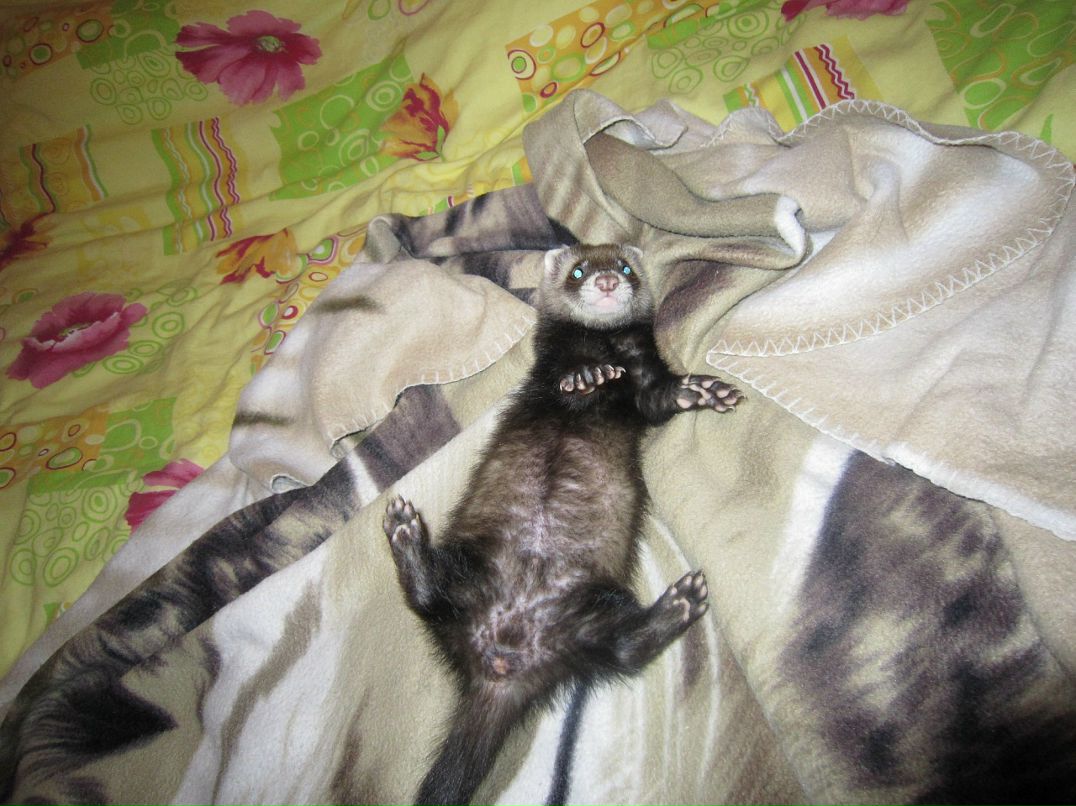 Sergey Serkov фотография #48