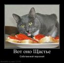 Фотография Могильного Вадима
