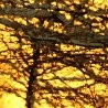 Каріна Сікорська фотография #27 (источник - https://vk.com/id154364347)