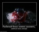 Ігор Павлюк фотография #37 (источник - https://vk.com/id13193503)