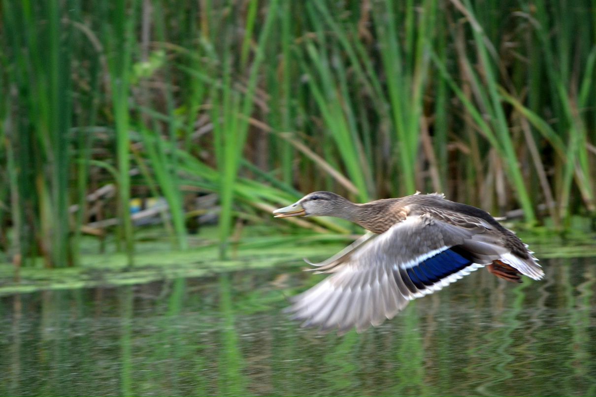 Константин Басалаев фотография #32