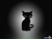 Фотография Арешкиной Татьяны