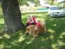 Ірина Ірина фотография #38 (источник - https://vk.com/id31038684)