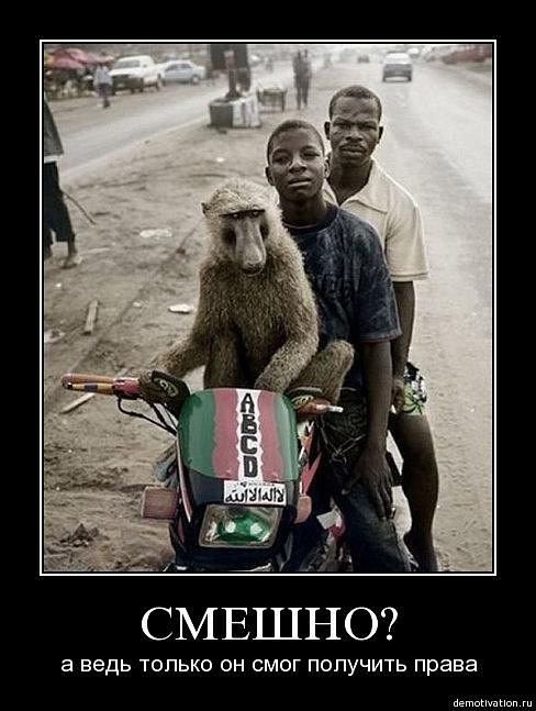 Василий Суслаев фотография #25