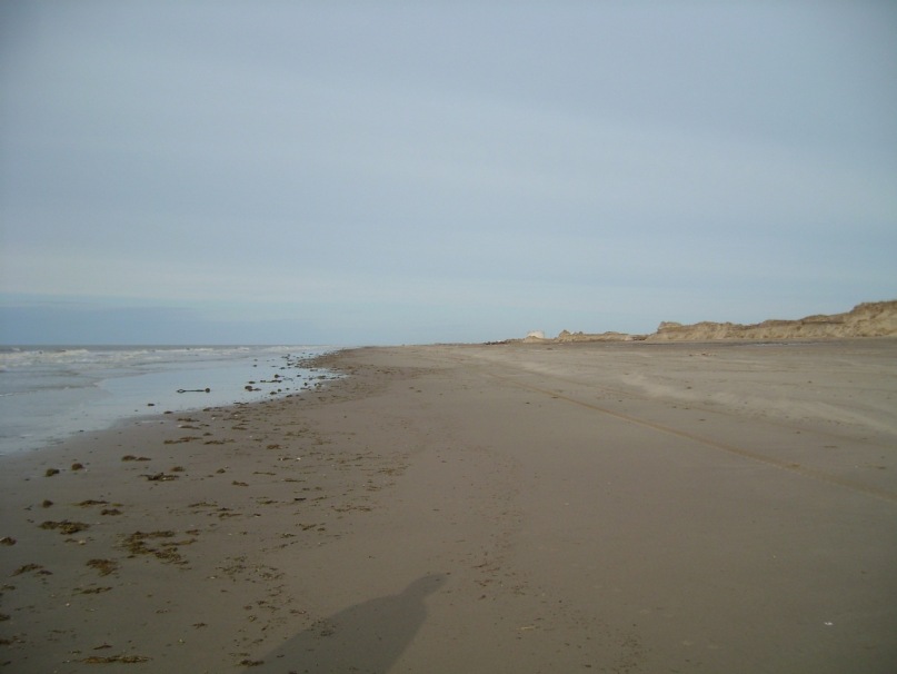 Дмитрий Соснин фотография #35