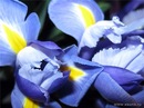 Фотография Багмут Анны
