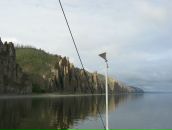 Дмитрий Швецов фотография #1