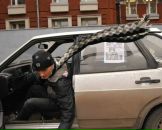 Фотография Сметанникова Пети