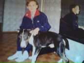 Фотография  