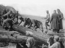 Дима Стасюк фотография #15 (источник - https://vk.com/id6515993)