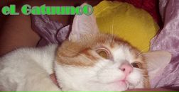 Діанка Некрасова фотография #50 (источник - https://vk.com/id89760274)