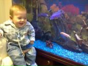 Фотография Novikov Stanislav