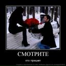 Іруська Лапуська фотография #8 (источник - https://vk.com/id157374152)