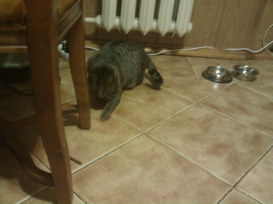 Дмитрий Тетерук фотография #42