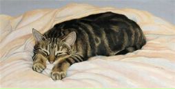 Фотография Мицык Алисы