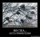 Діма Капронов фотография #41 (источник - https://vk.com/id134714801)