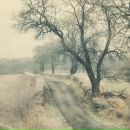 Фотография Гавшиной Кати