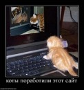 Дмитрий Бондарь фотография #30 (источник - https://vk.com/id2666436)