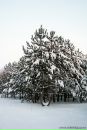 Олег Скуйбіда фотография #40 (источник - https://vk.com/id41536667)