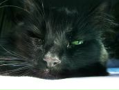 Лариса Клімова фотография #2 (источник - https://vk.com/id98337520)