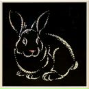 Фотография Бор Миша