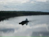 Валєра Кошлатий фотография #10 (источник - https://vk.com/id85476311)