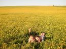 Фотография Спесивцевой Виктории