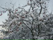 Фотография Осиповой Ирины