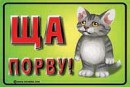 Masha =))))) фотография #49 (источник - https://vk.com/id82236899)