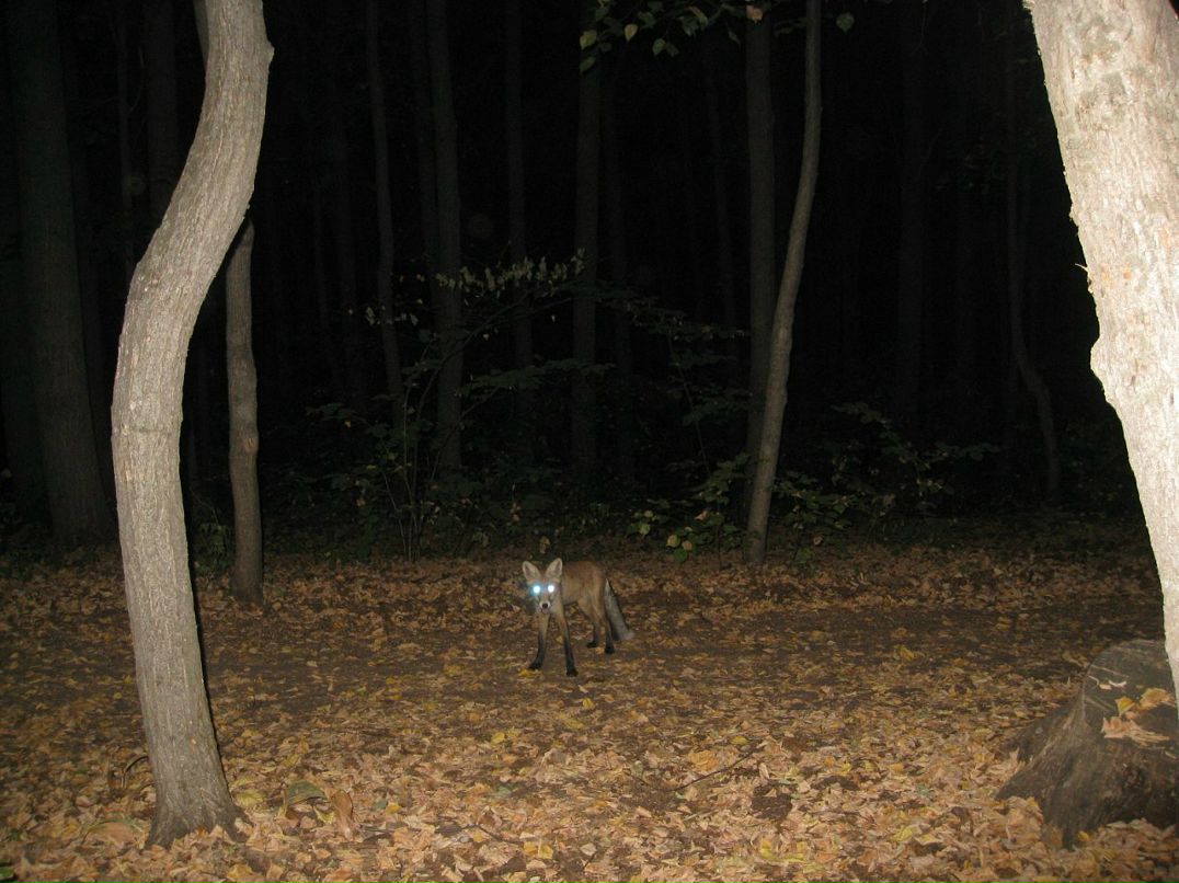 Rope Jumping фотография #10