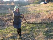 Фотография Ильющенко Анны